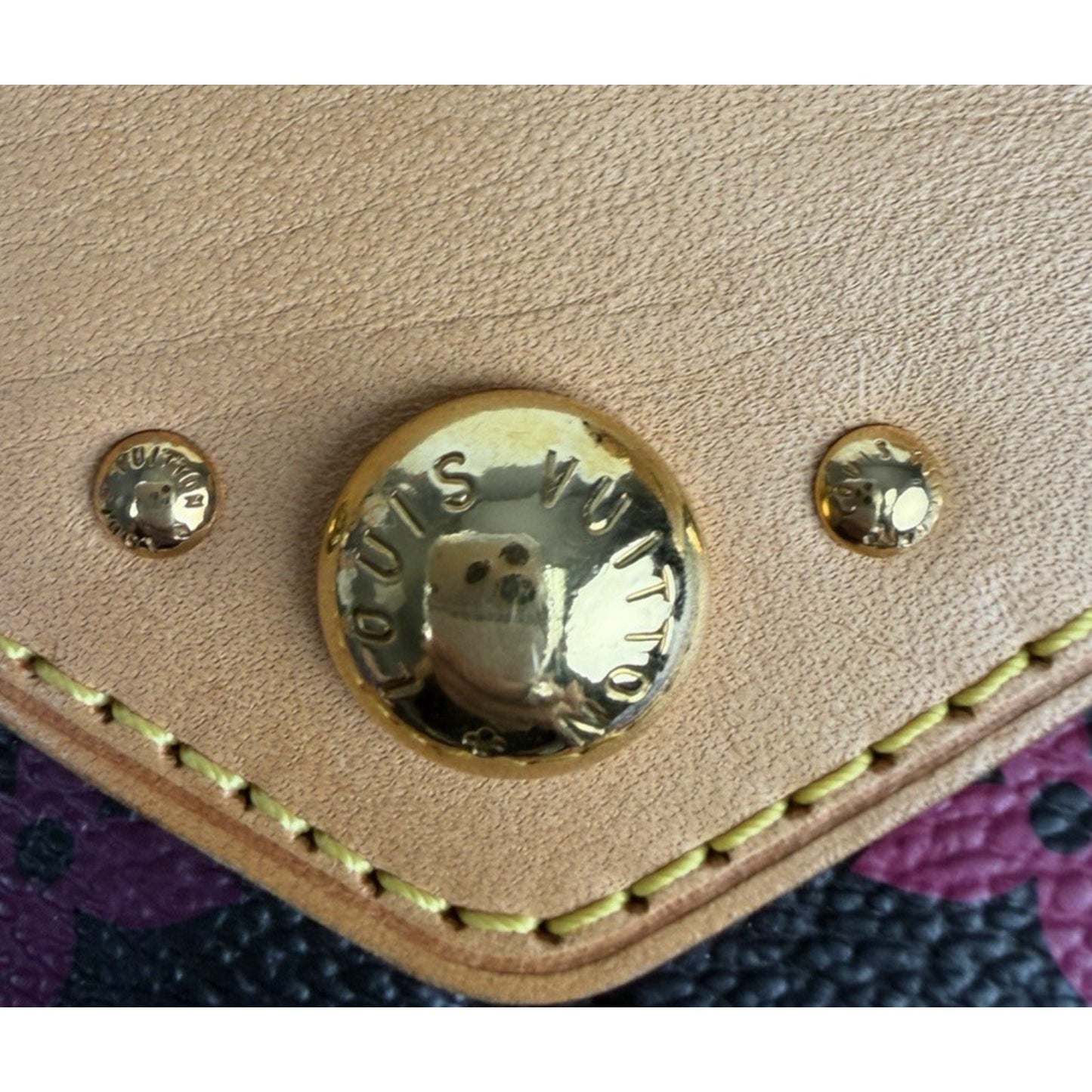 Louis Vuitton x Takashi Murakami Ursula Bag in Black and Multicolore Coated D-4