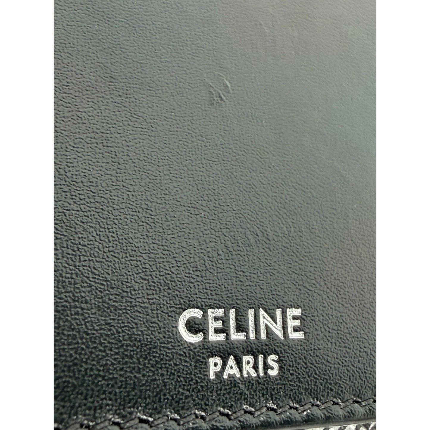 Celine Triomphe Horizontal Pouch Black Coated Canvas Smooth Calfskin Trim K2