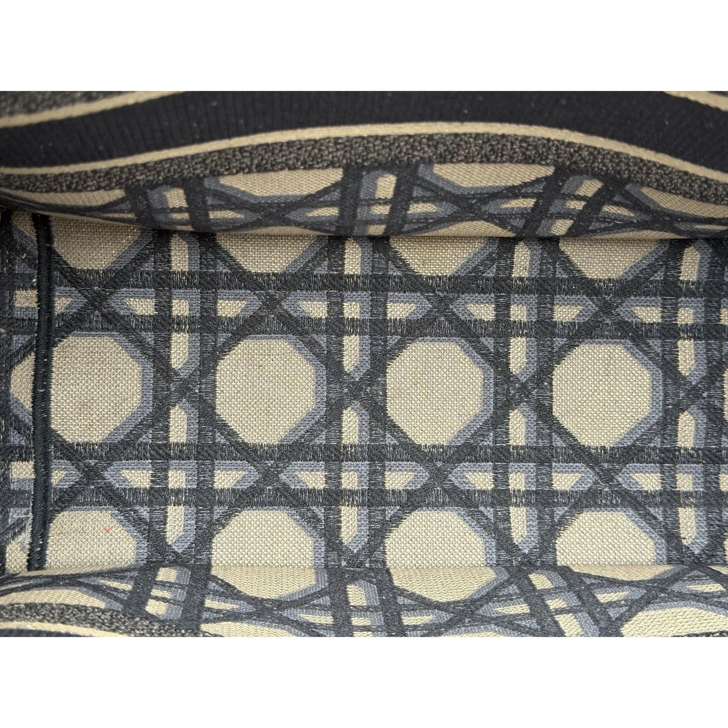 Christian Dior Blue & Neutral Canvas Medium Book Tote Women's Bag