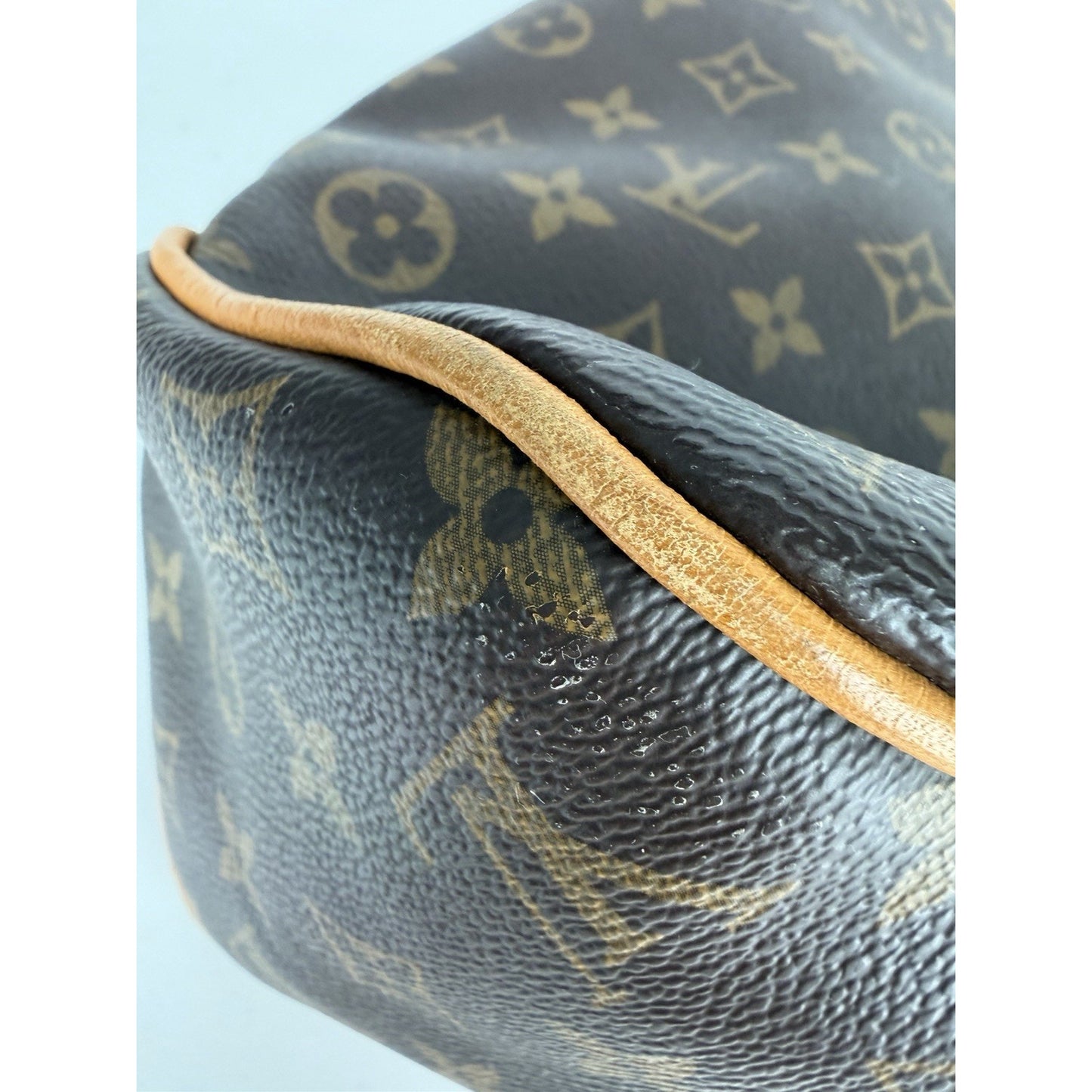 Louis Vuitton Monogram Delightful MM Hobo Bag in LV Monogram Canvas 2015 S