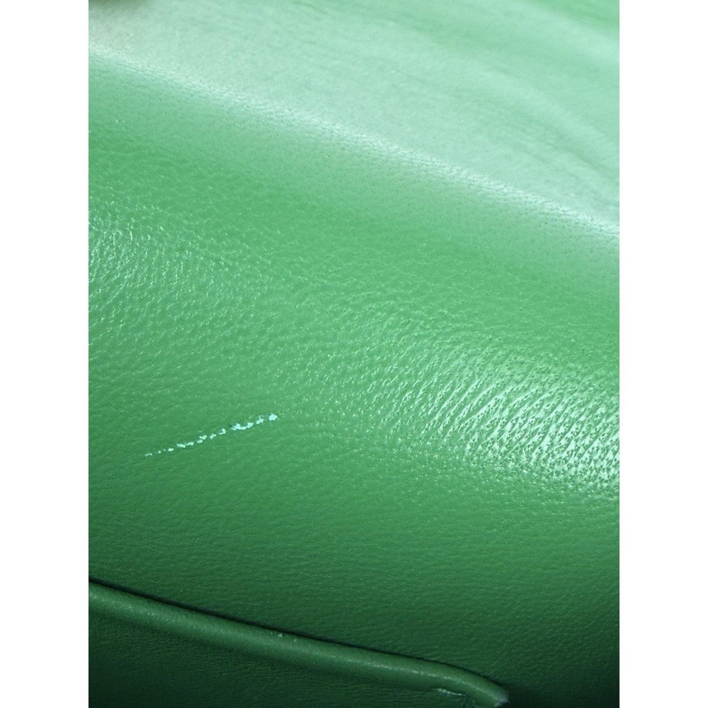 Celine by Phoebe Philo Trotteur Small Crossbody Bag in Grainy Green Leather S-08