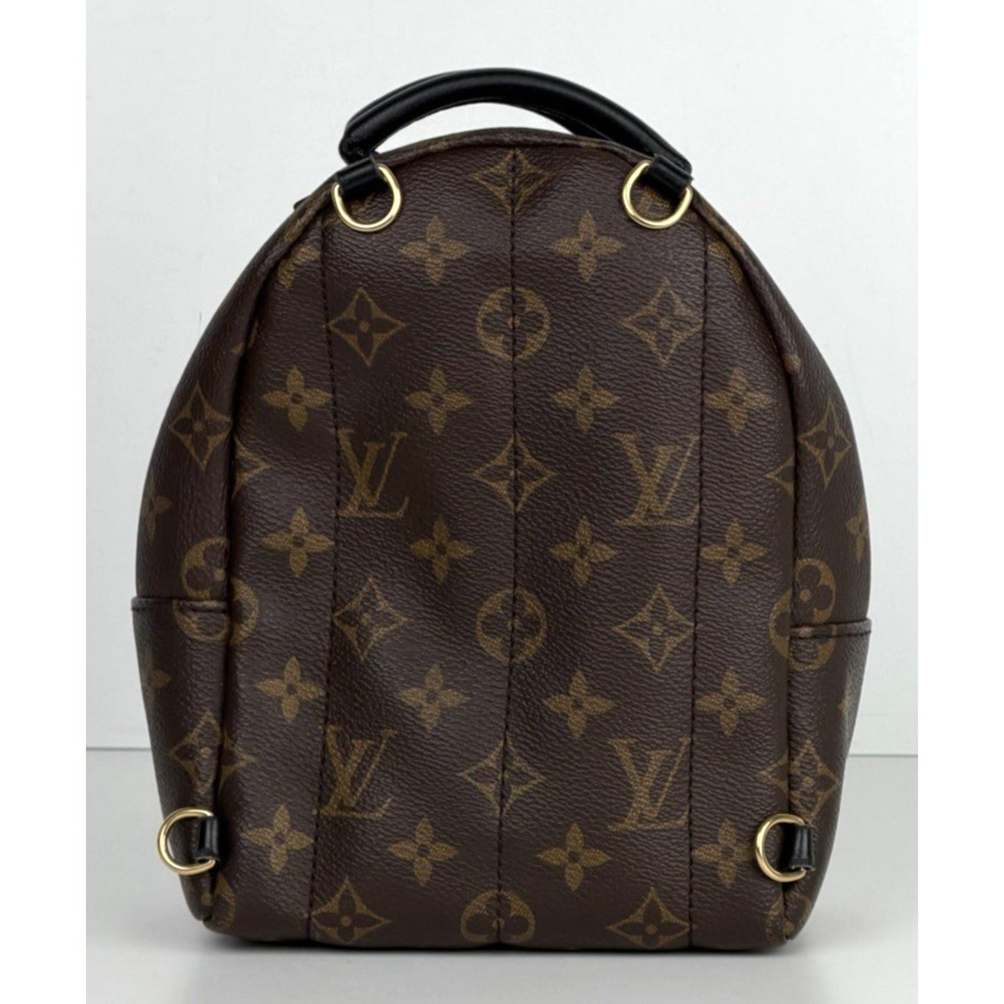 Louis Vuitton Palm Springs Mini Backpack Bag in Brown Coated Canvas 2020 D7