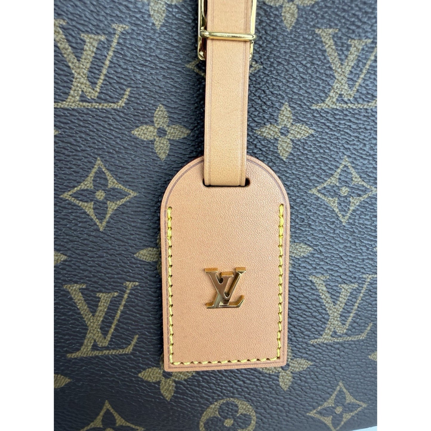 Louis Vuitton Monogram Boite Chapeau Souple MM Bag in LV Monogram Canvas 2019 C7