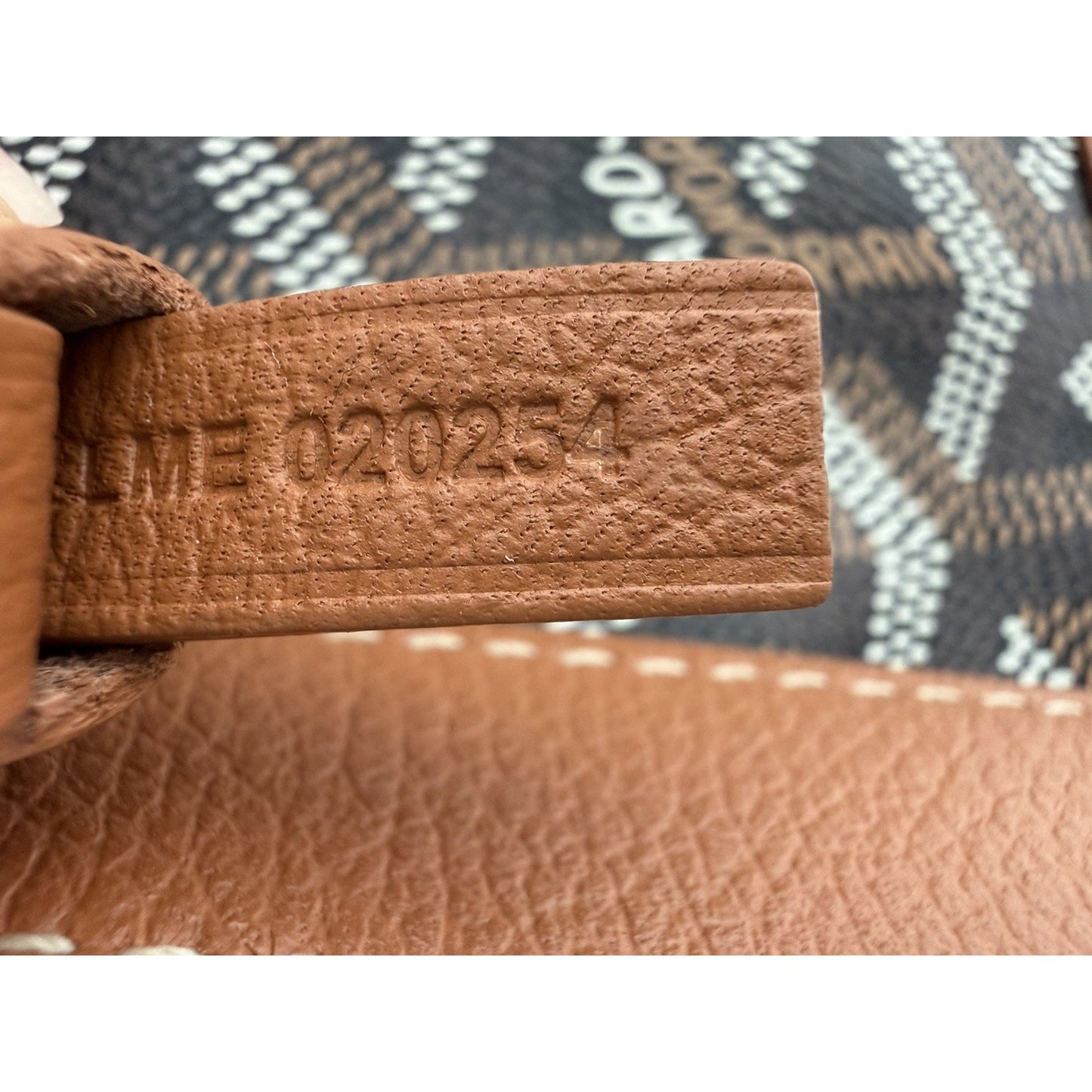 Goyard Boheme Hobo Bag in Goyardine Coated Canvas and Chevron Pattern D2