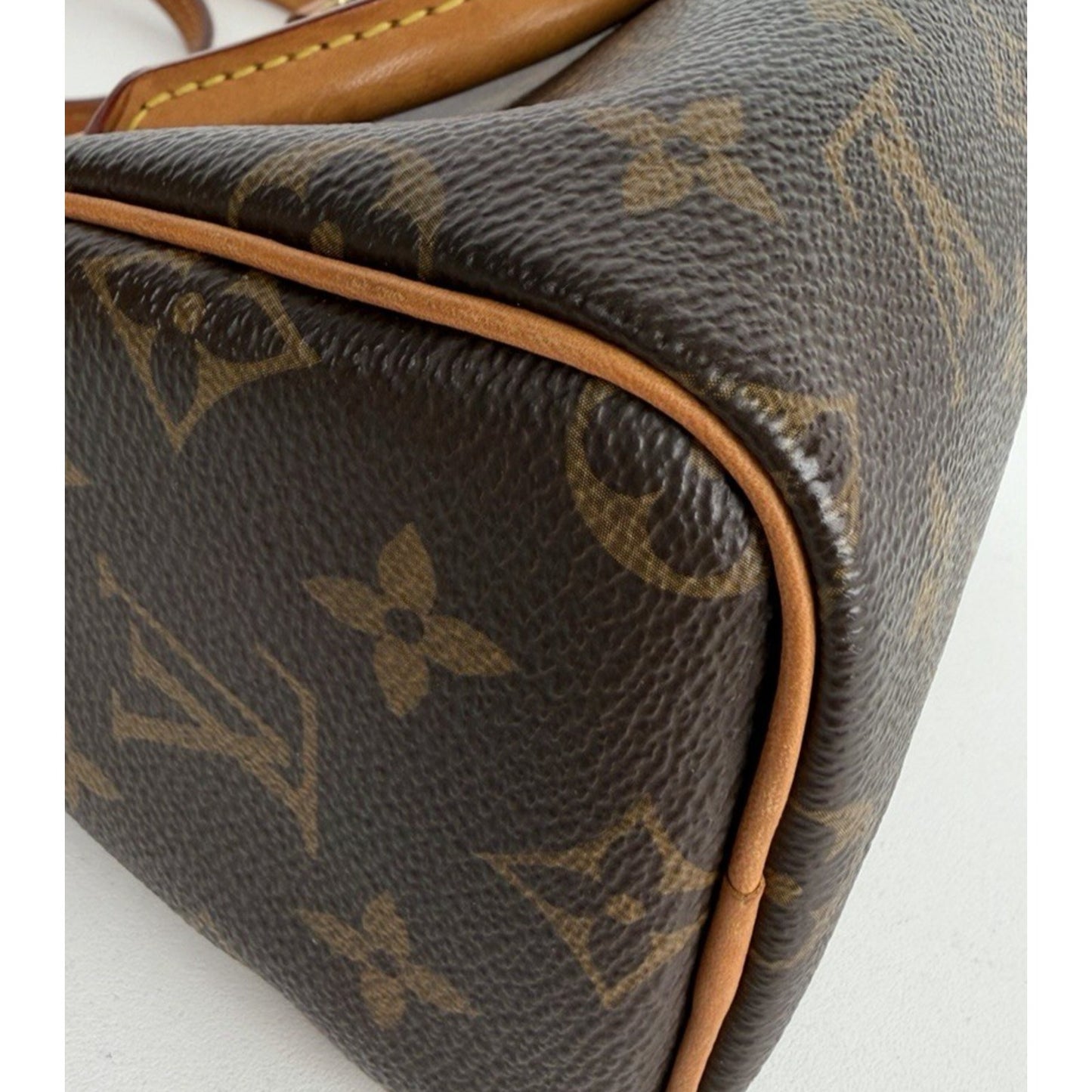 Louis Vuitton Nano Speedy Handbag in Brown Coated Canvas Crossbody 2019 B5