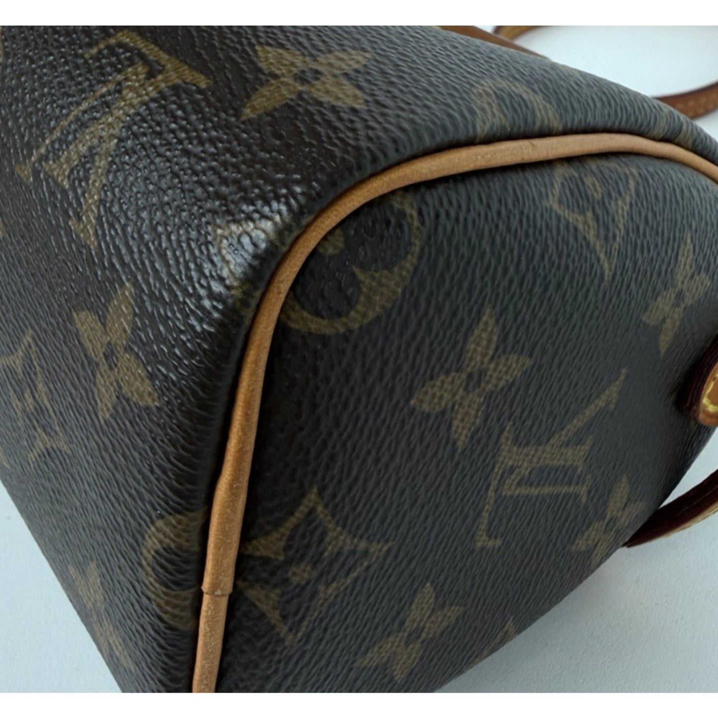 Louis Vuitton Nano Speedy Handbag in Brown Coated Canvas Crossbody 2019 B5