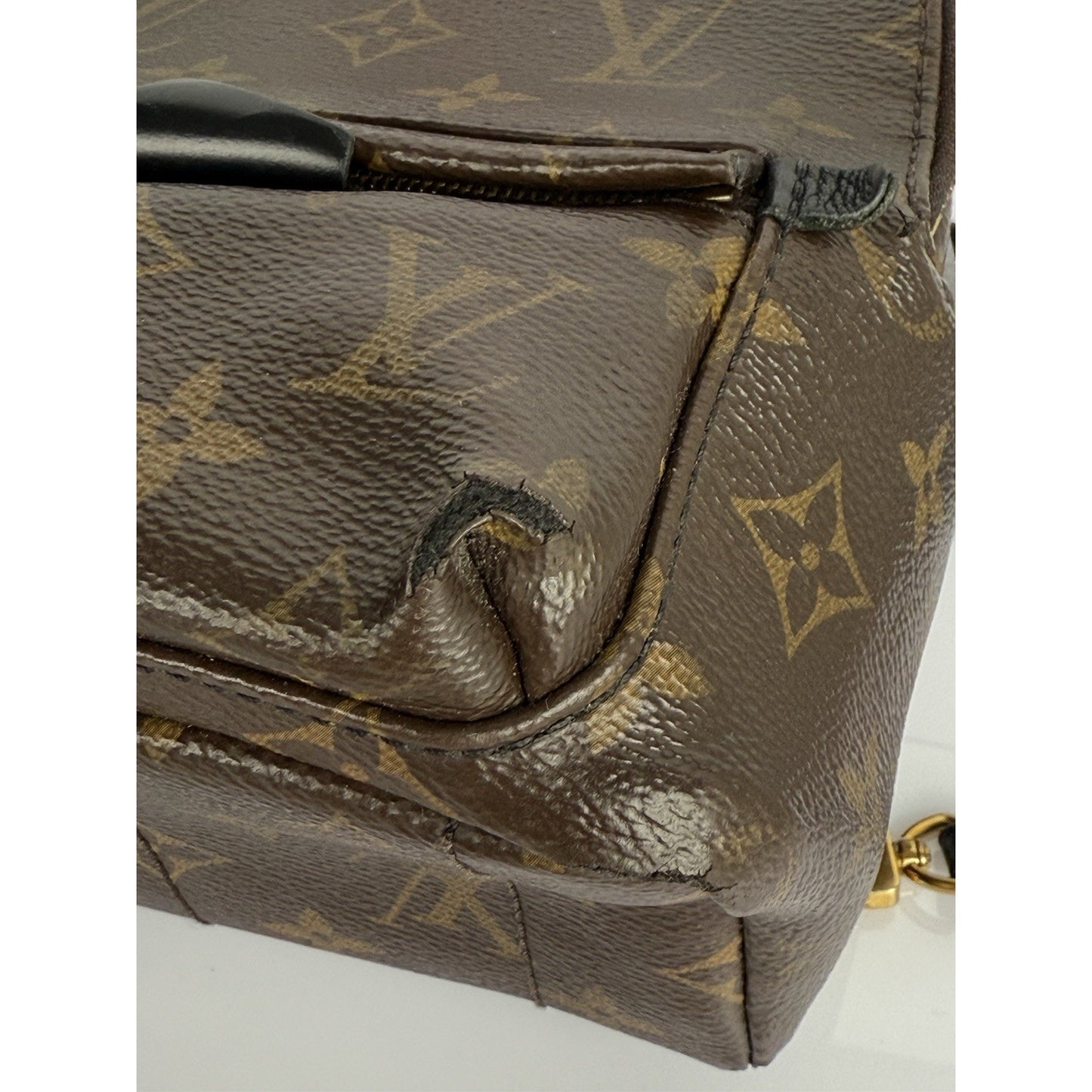 Louis Vuitton Mini Palm Springs Women's Backpack in Brown Monogram