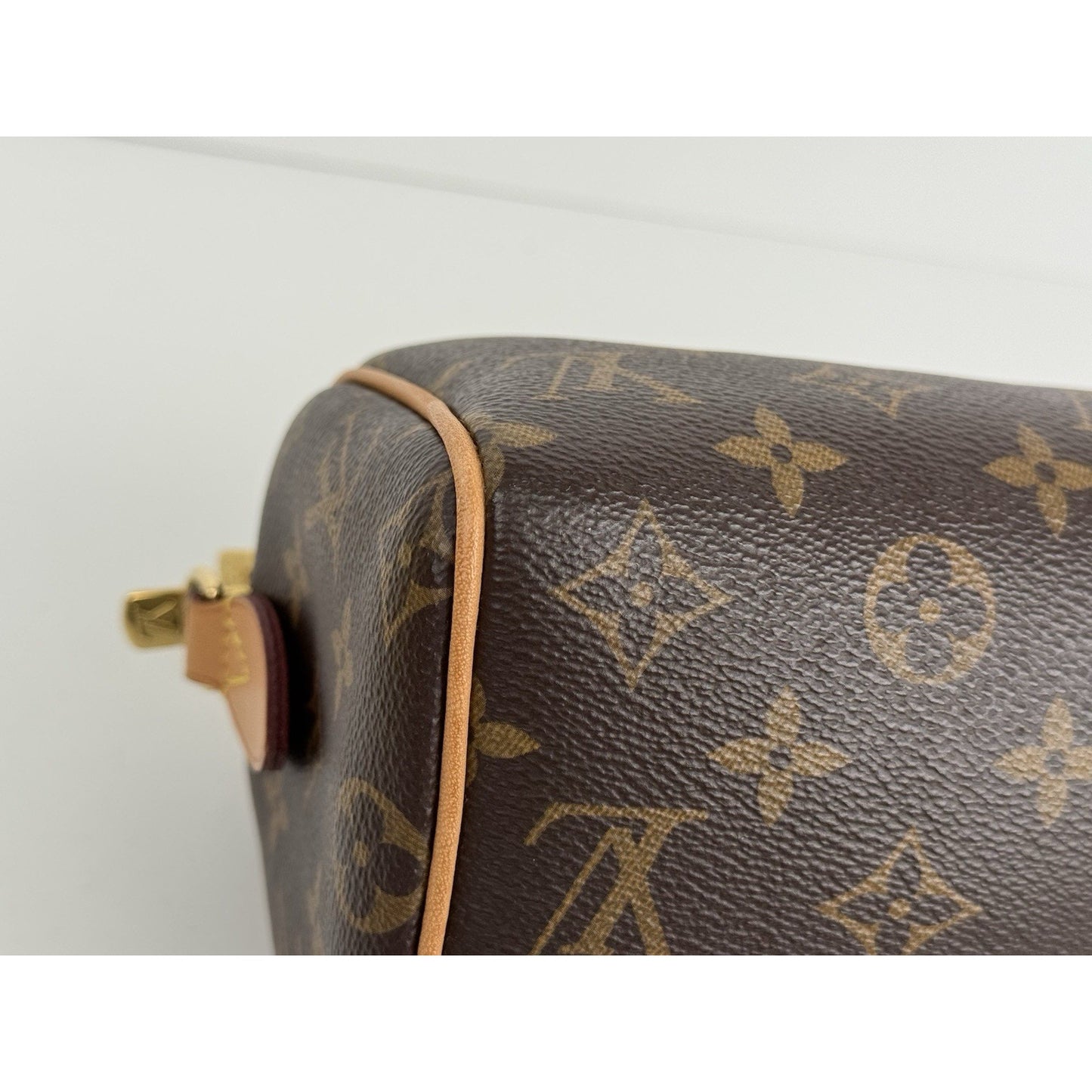 Louis Vuitton Monogram Nano Speedy Handbag