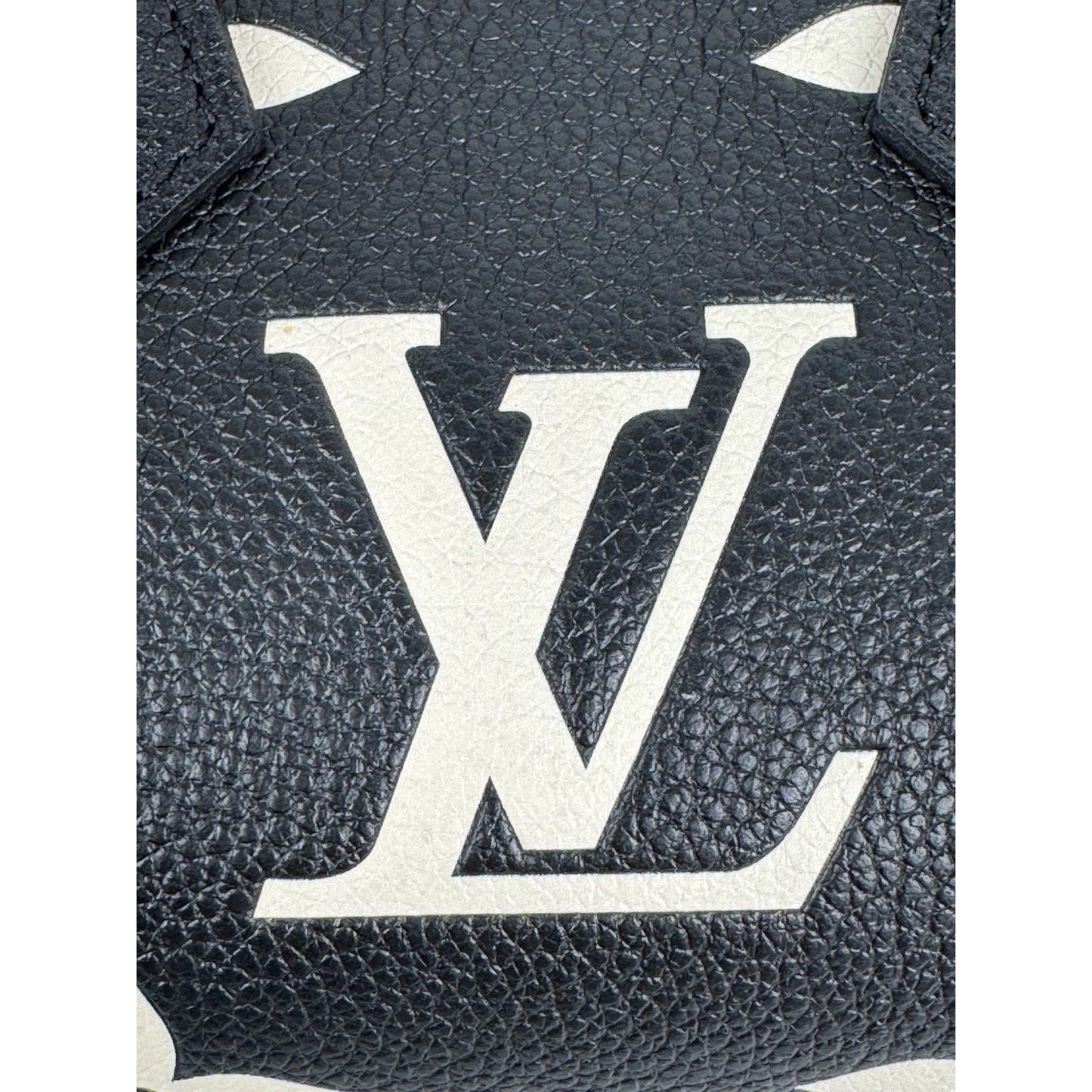 Louis Vuitton Monogram Empreinte Giant Nano Speedy Black R-1