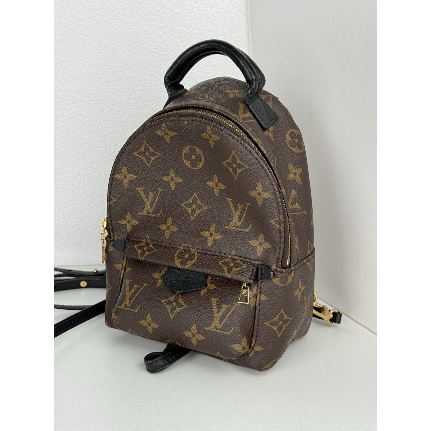 Louis Vuitton Mini Palm Springs Women's Backpack in Brown Monogram