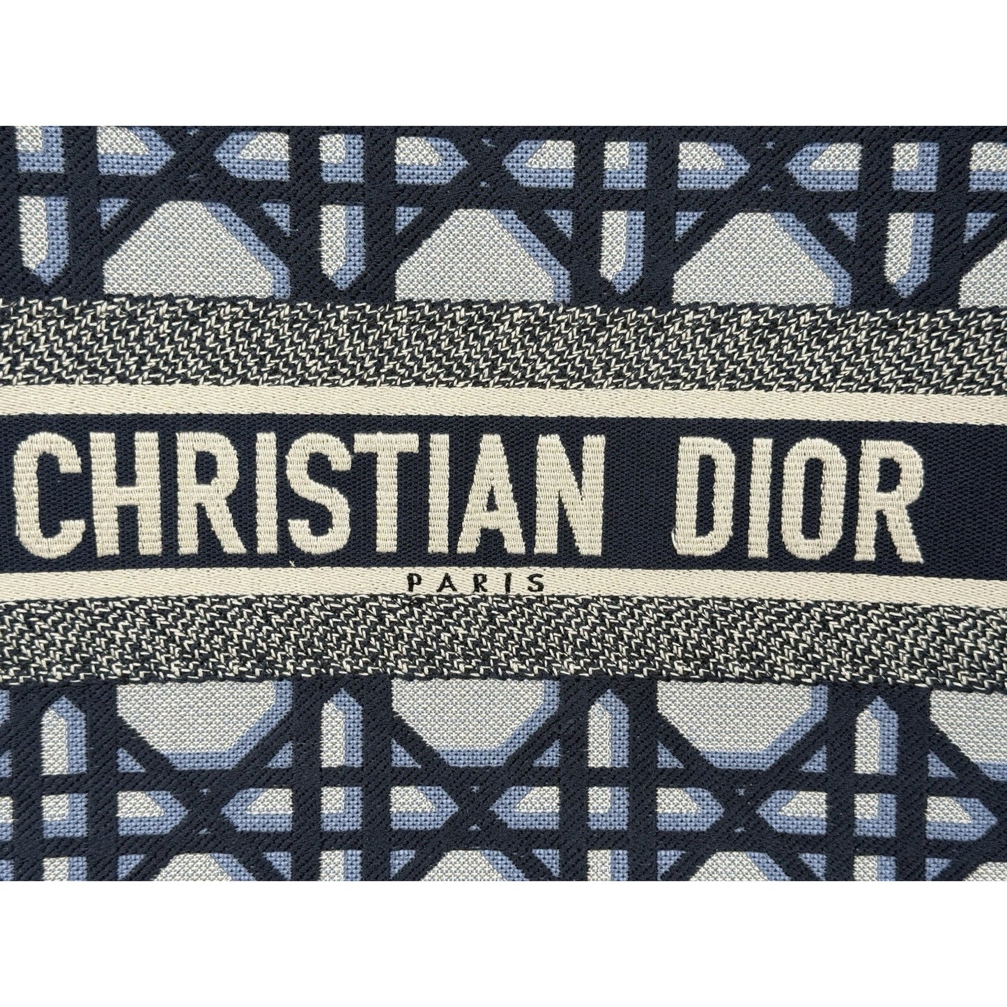 Christian Dior Blue & Neutral Canvas Medium Book Tote Women's Bag