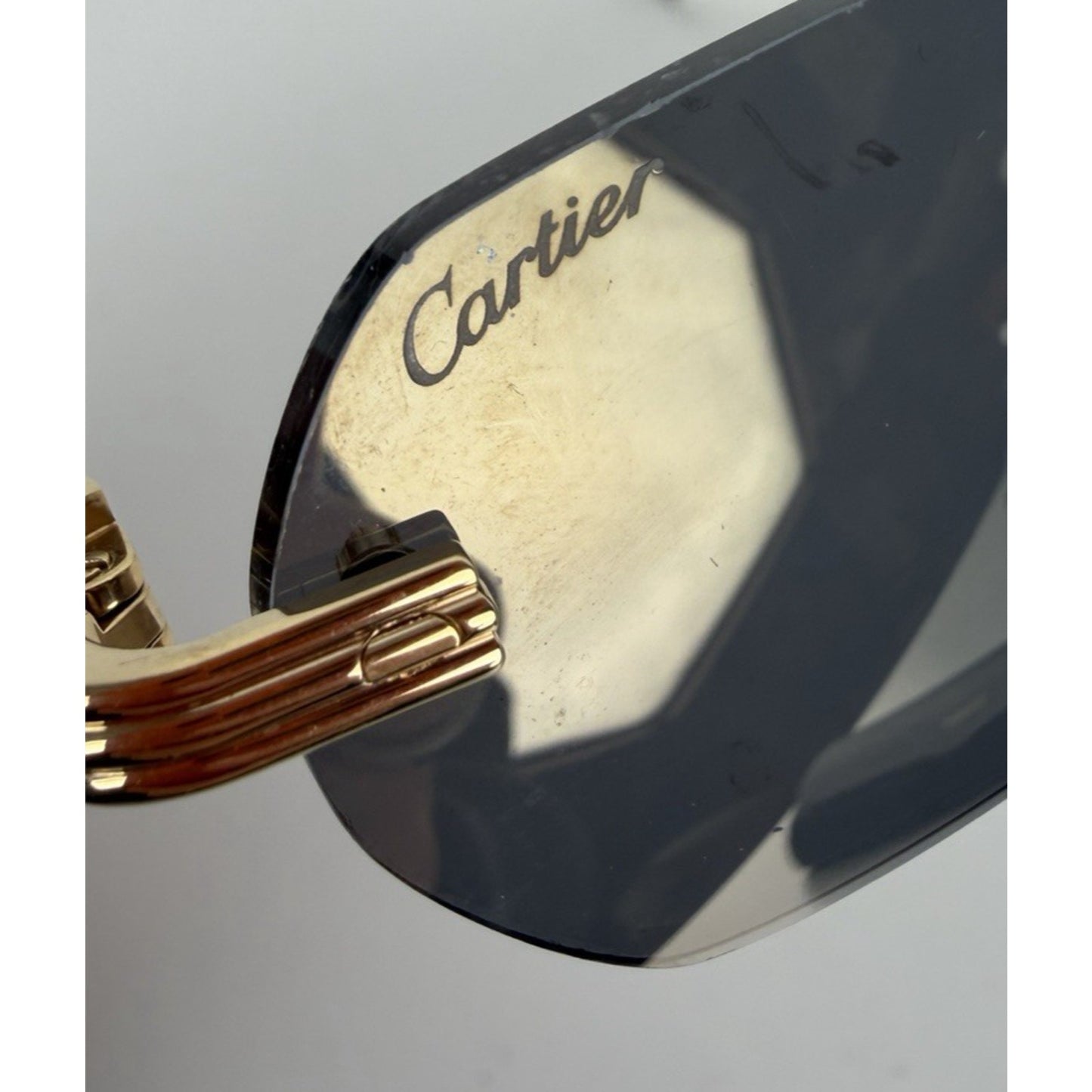 Cartier CT0362S Premiere de Cartier Sunglasses in Natural Horn Black Lenses