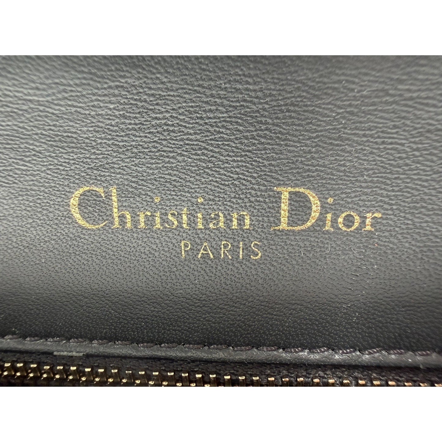 Christian Dior Diorama Medium Flap Bag Crackled Deerskin Leather S05