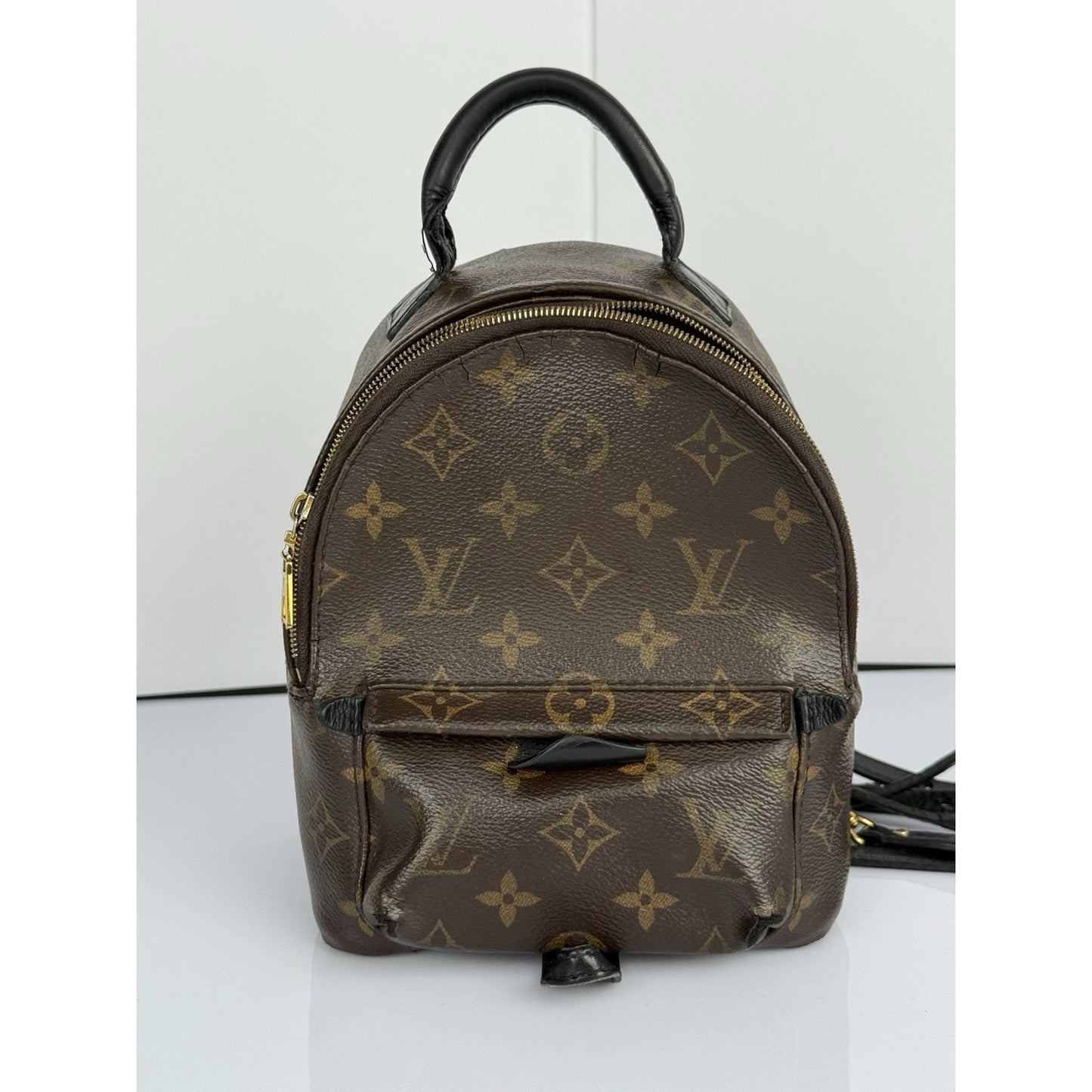 Louis Vuitton Mini Palm Springs Women's Backpack in Brown Monogram