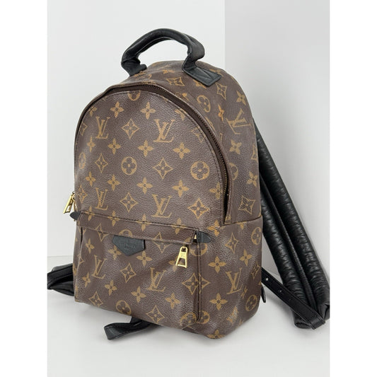 Louis Vuitton Palm Springs Backpack Monogram Canvas MM