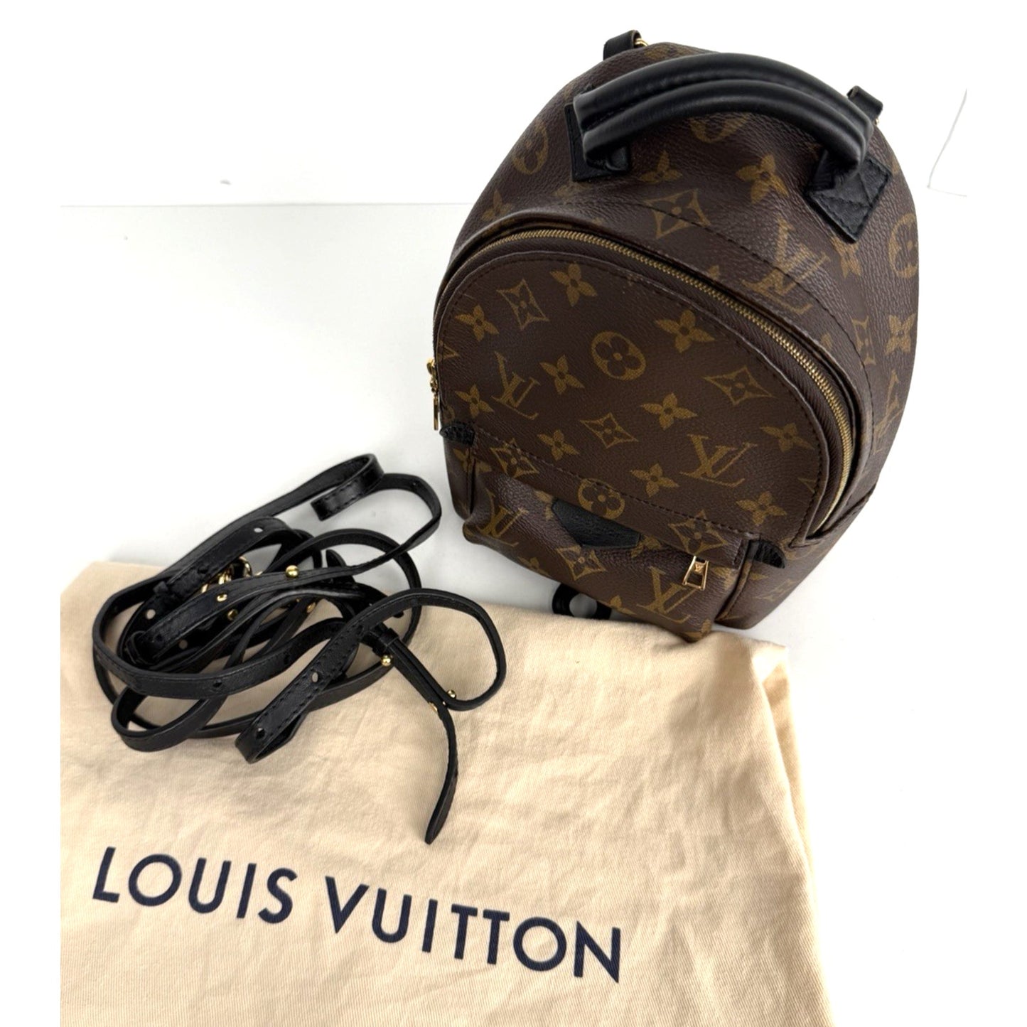 Louis Vuitton Palm Springs Mini Backpack Bag in Brown Coated Canvas 2020 D7