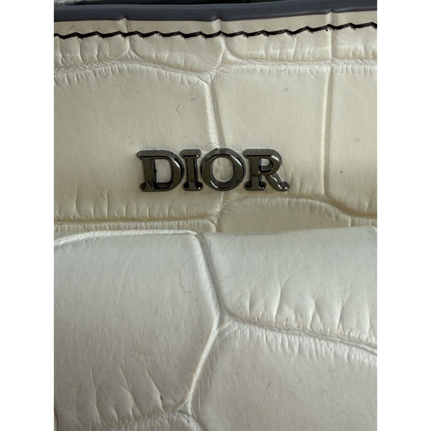 Chritian Dior Himalayan Crocodile XL Soft Saddle Men’s Bag Beige