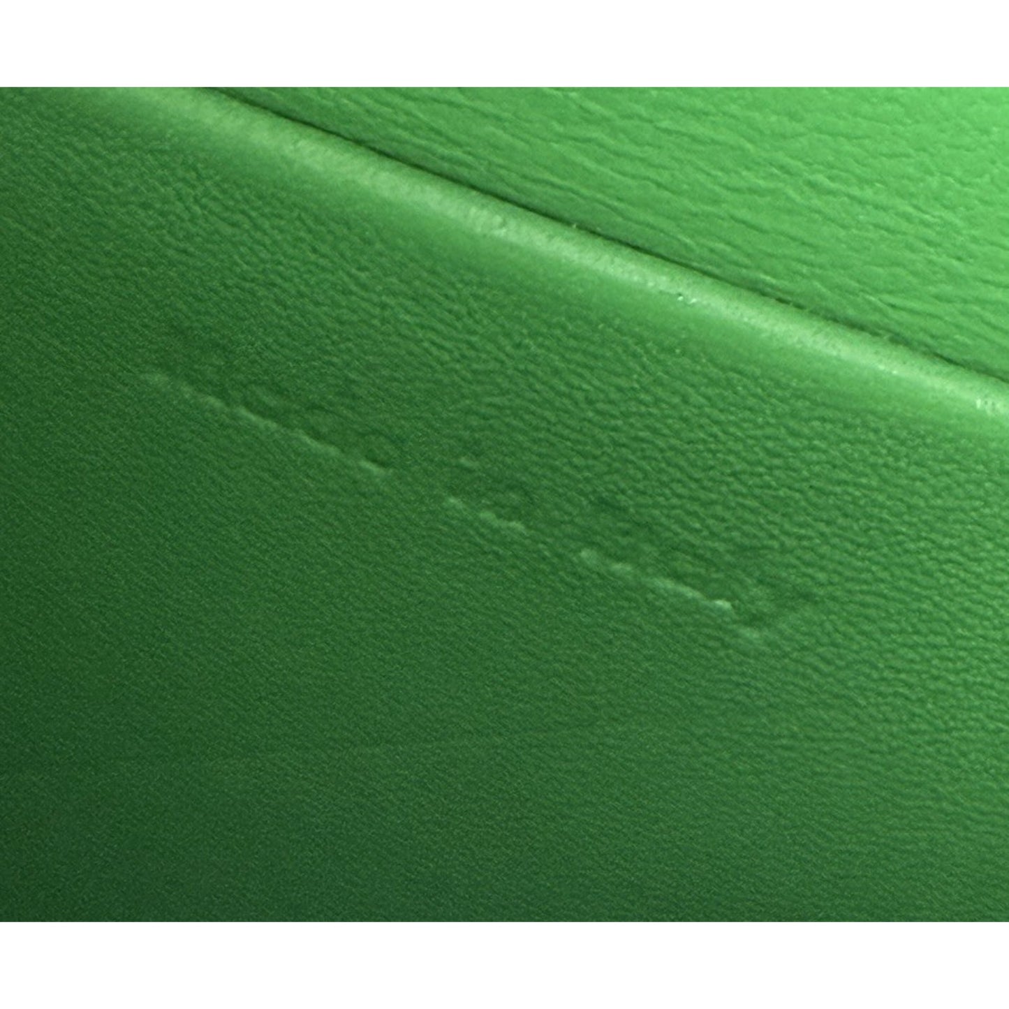 Celine by Phoebe Philo Trotteur Small Crossbody Bag in Grainy Green Leather S-08