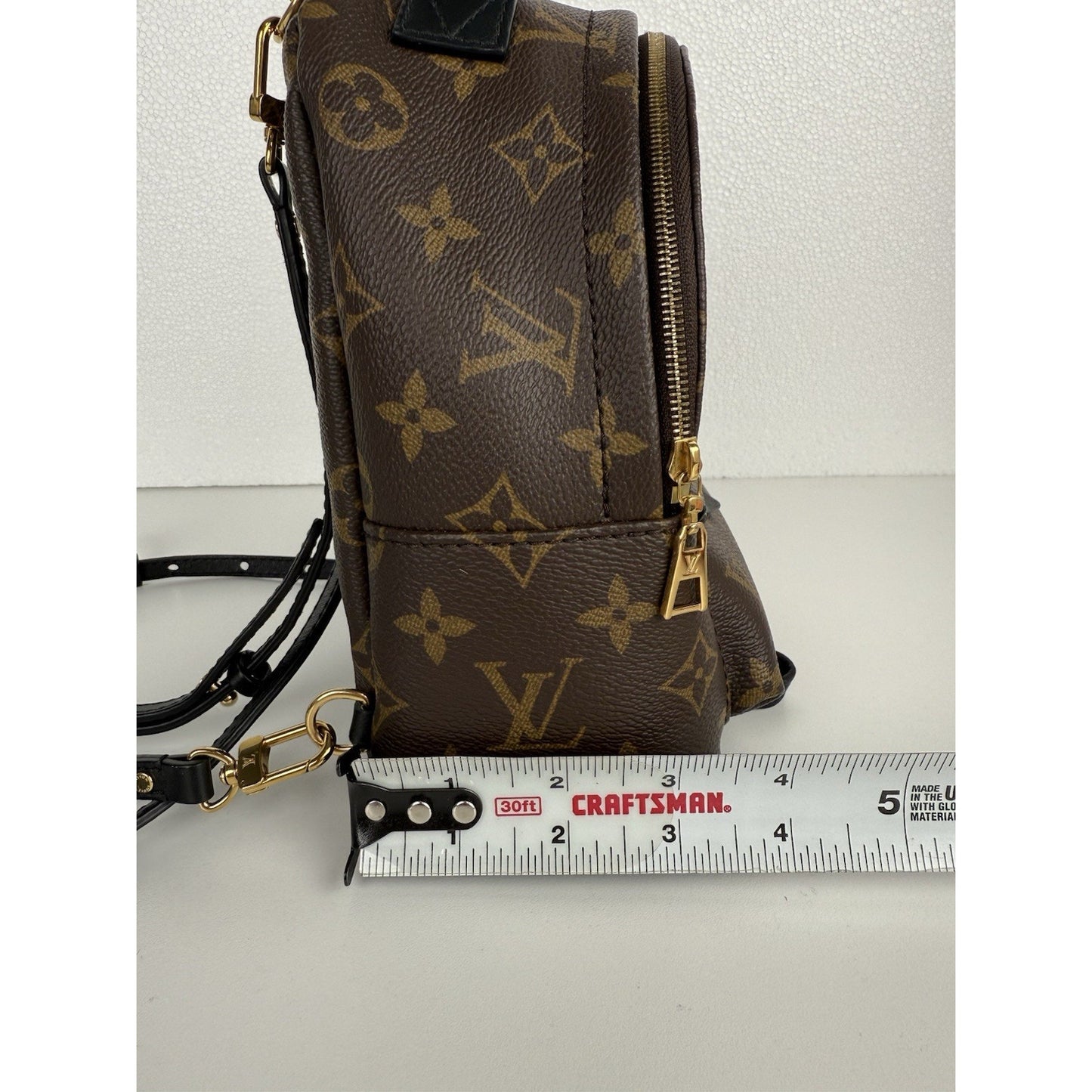 Louis Vuitton Mini Palm Springs Women's Backpack in Brown Monogram