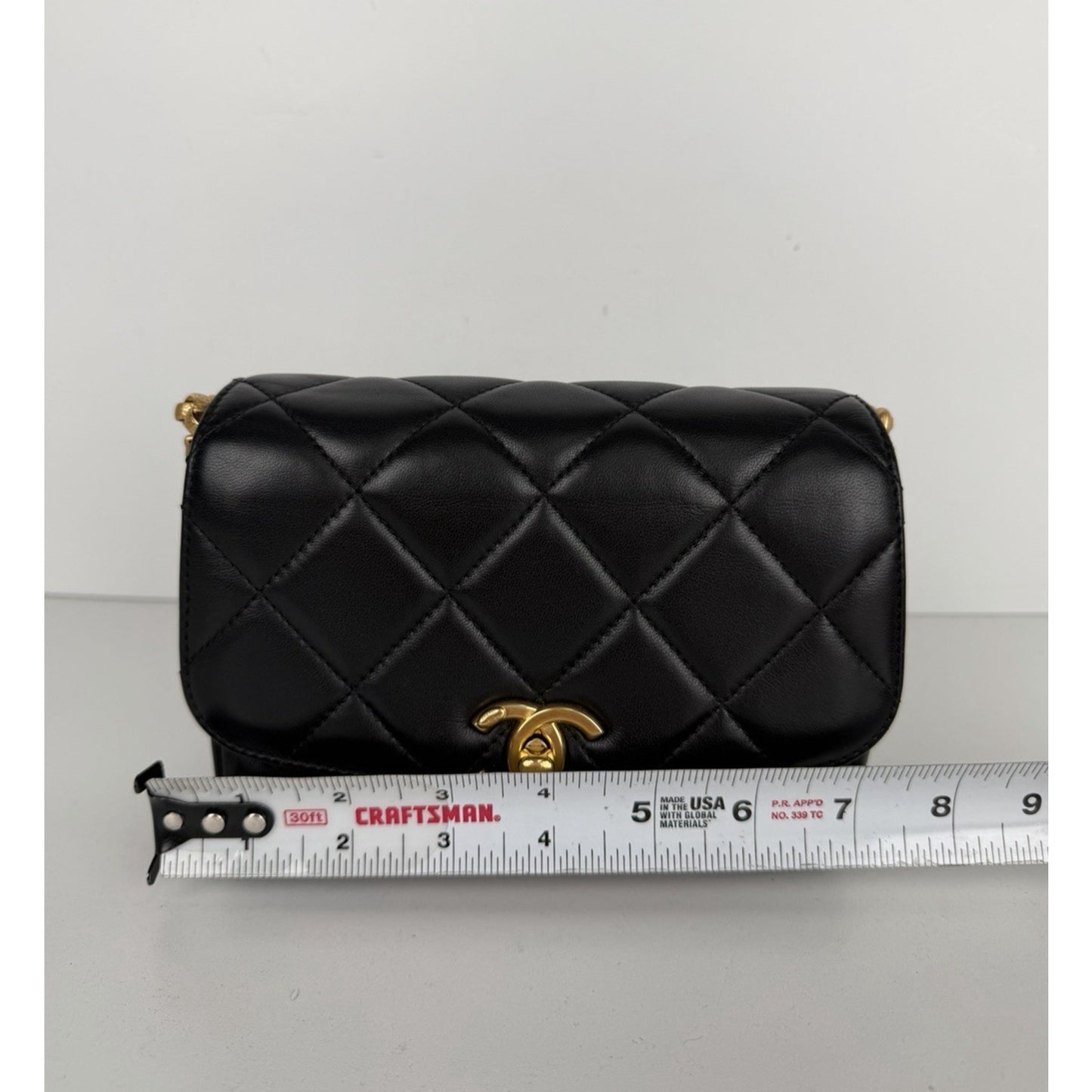 Chanel CC Coin Chain Flap Bag Small in Black Quilted Lambskin Leather 2020 F1