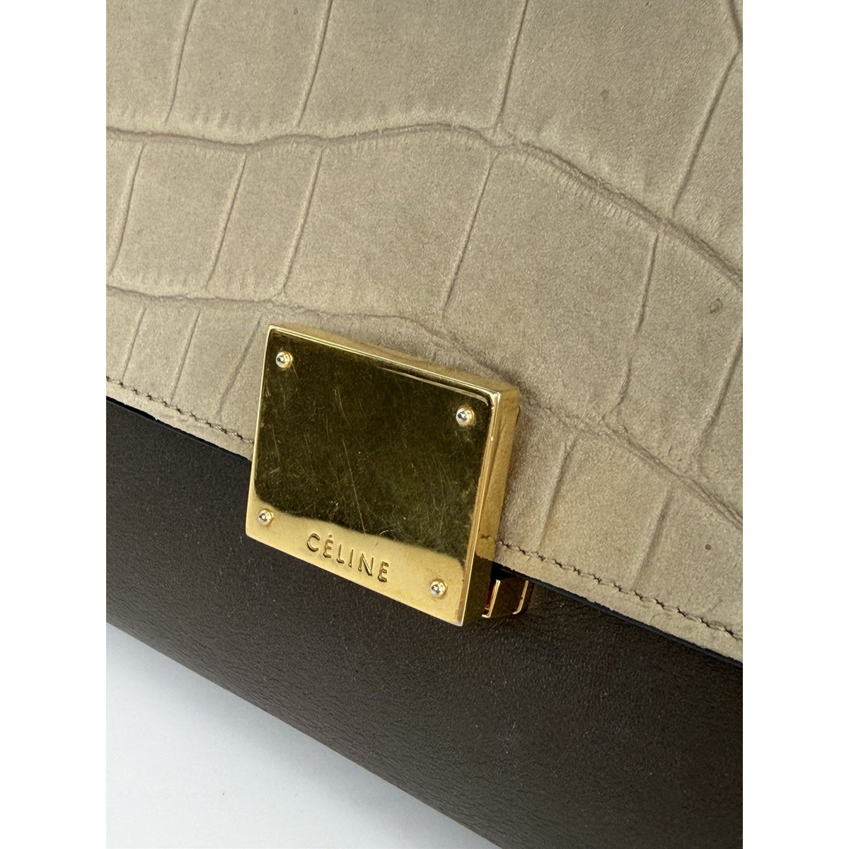 Celine Trapeze Micro Bag in Crocodile Embossed Calfskin Calfskin Leather S02