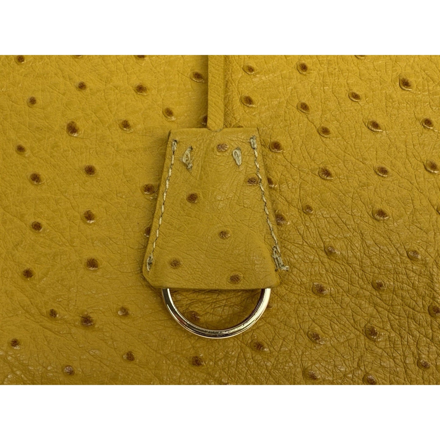 Prada Struzzo Lux Medium Galleria Double-Zip Tote in Mustard Yellow Ostrich Leater
