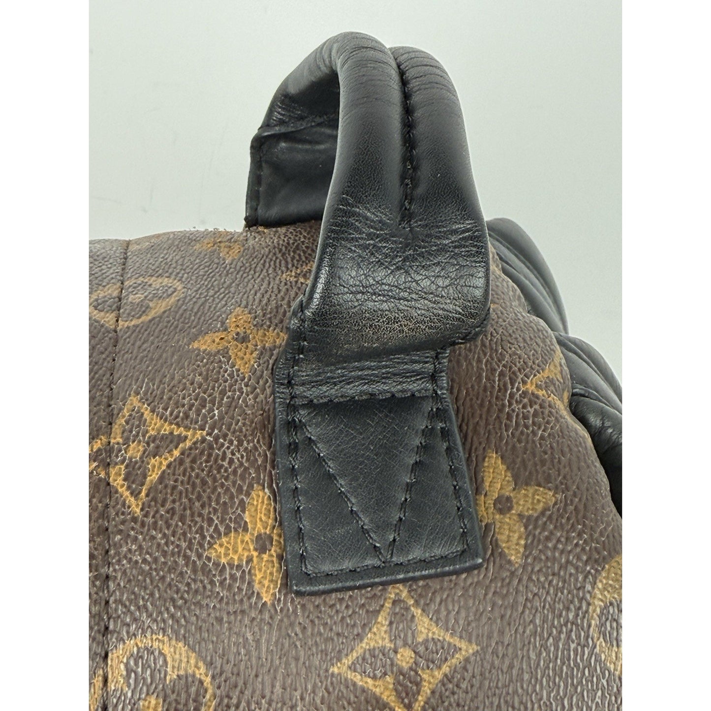 Louis Vuitton Palm Springs Backpack Monogram Canvas MM