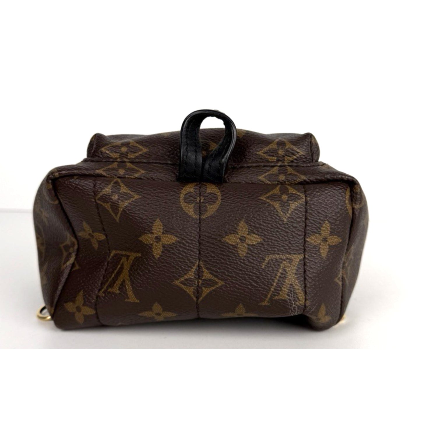 Louis Vuitton Palm Springs Mini Backpack Bag in Brown Coated Canvas 2020 D7