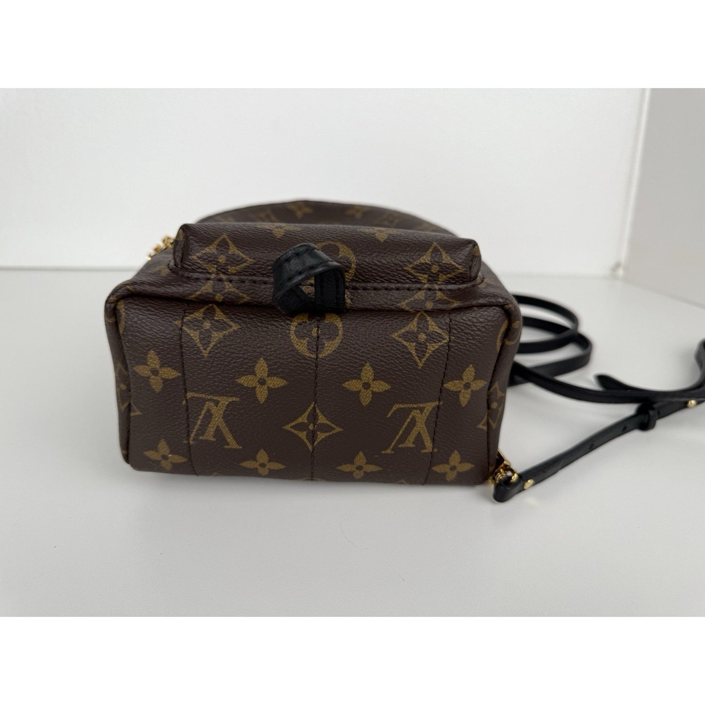 Louis Vuitton Mini Palm Springs Women's Backpack in Brown Monogram
