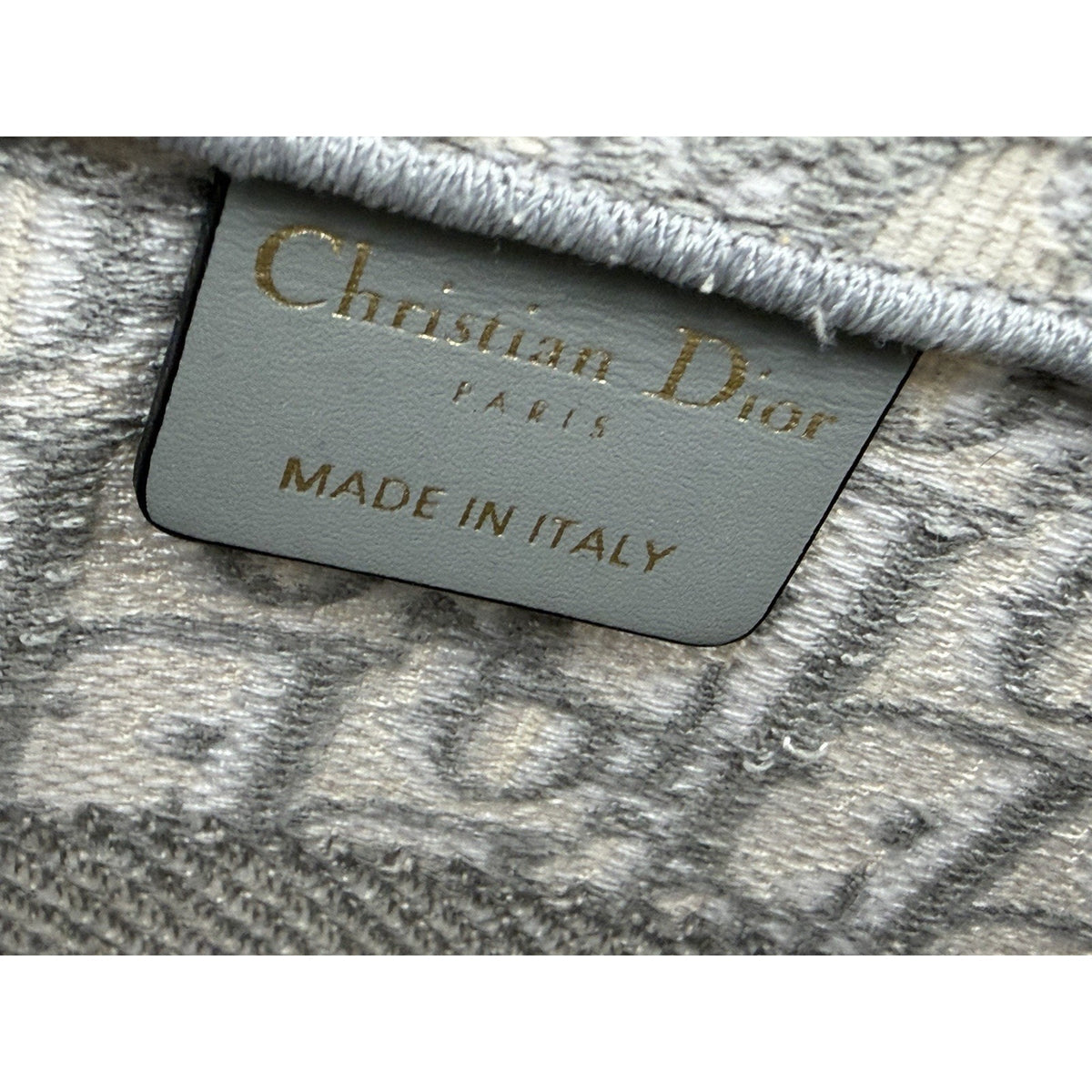 Christian Dior Oblique Medium Book Tote Bag in Classic Monogram Canvas 2022 S22