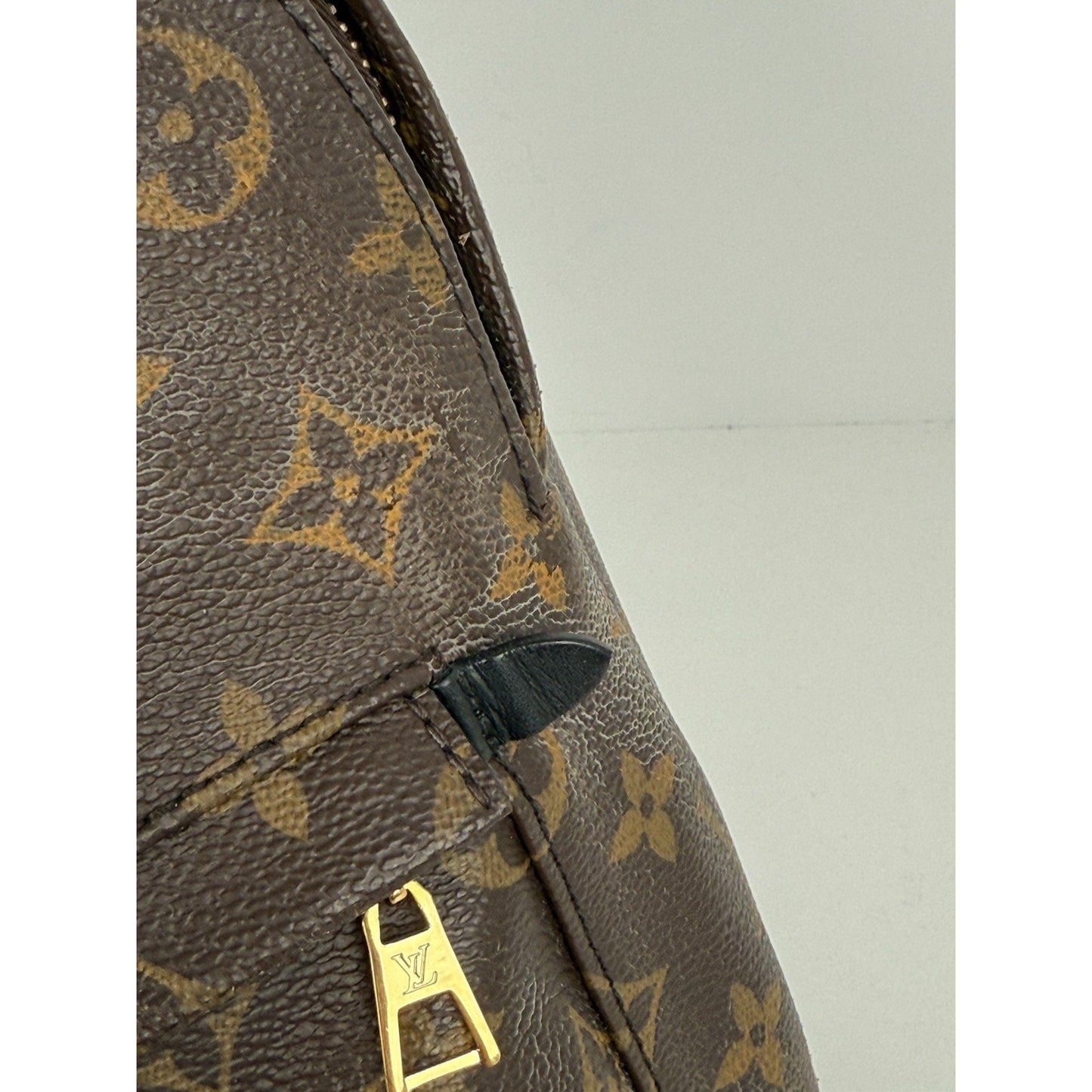 Louis Vuitton Palm Springs Backpack Monogram Canvas MM