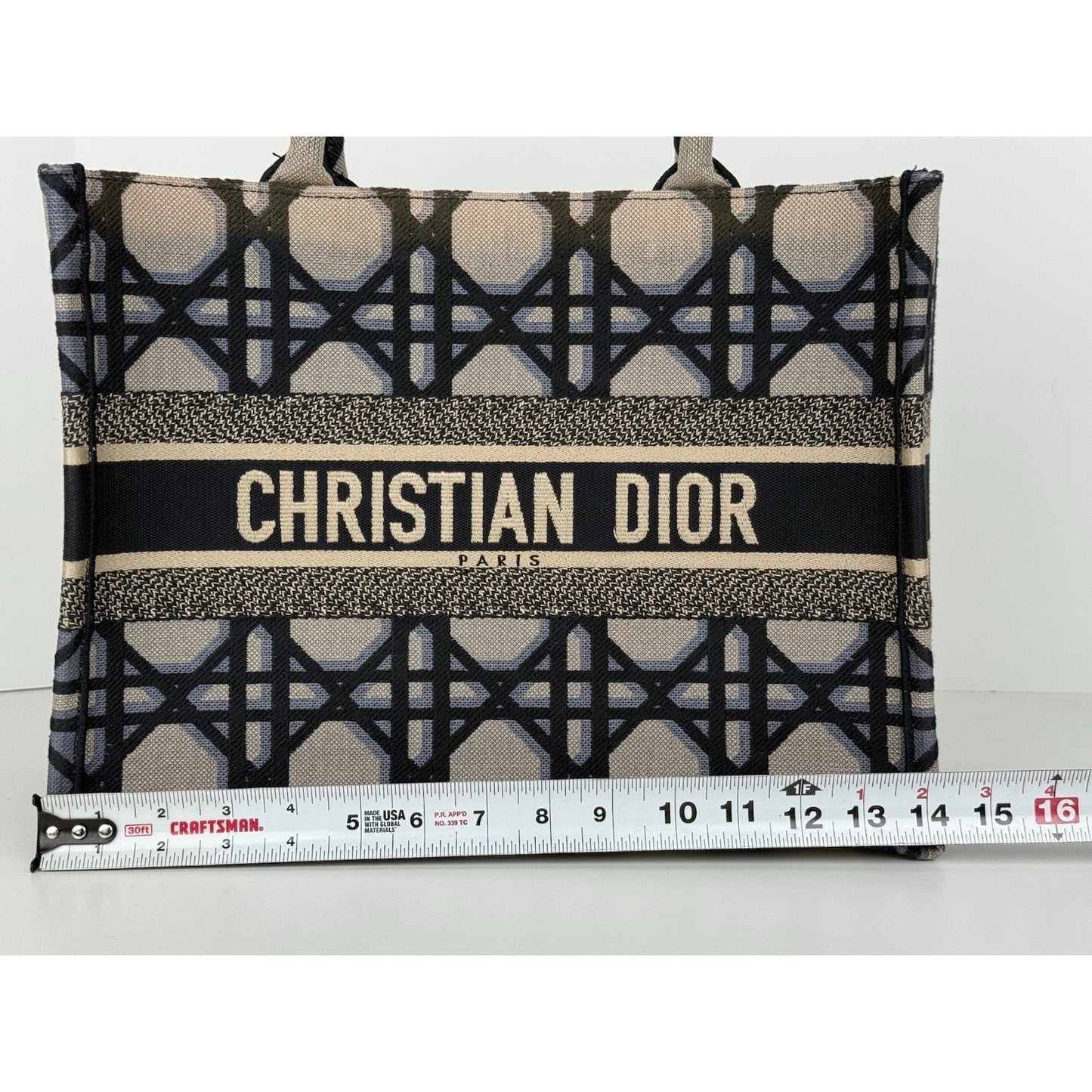 Christian Dior Blue & Neutral Canvas Medium Book Tote Women's Bag