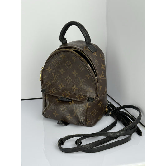 Louis Vuitton Mini Palm Springs Women's Backpack in Brown Monogram