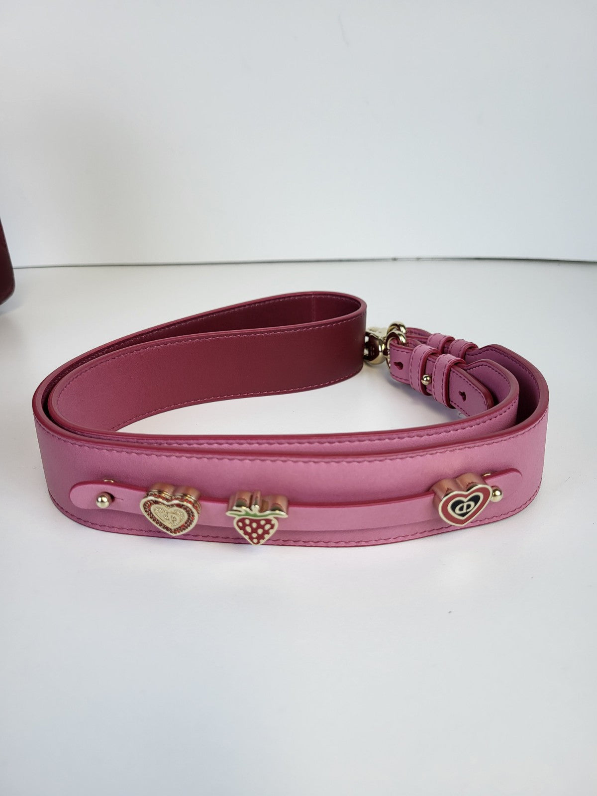 Dior Lady Dior  Ombre Pink Leather Small Shoulder Bag